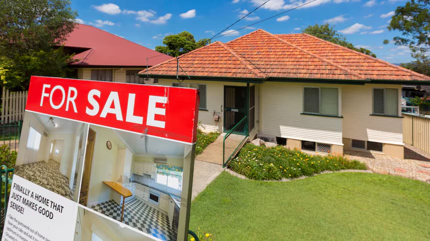 Investor portfolio optimization